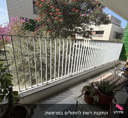 מרפסת עם רשת הגנה ועציצים, עץ פורח ברקע